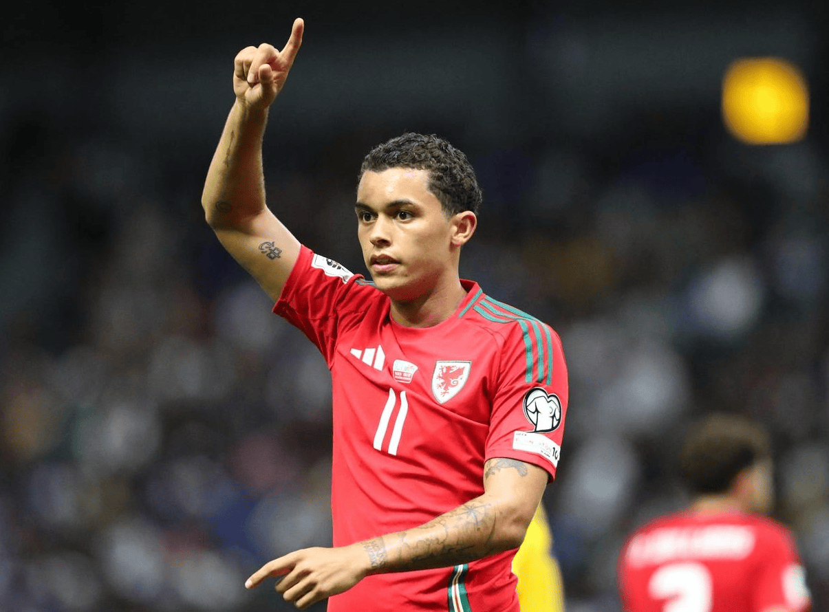 世预赛：1-0，33岁伯恩茅斯旧将制胜，威尔士登顶+甩比利时6分